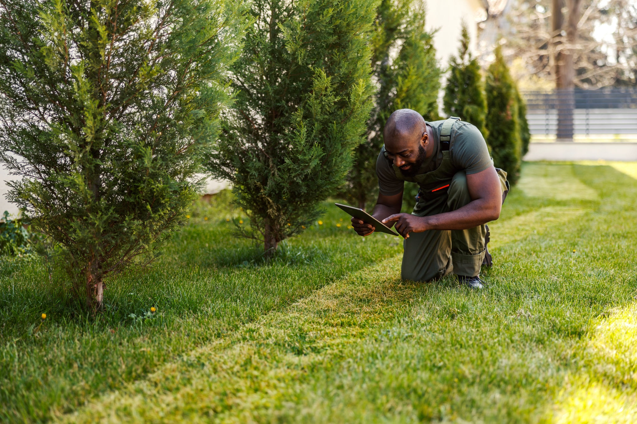 Grounds Inspection & Consulting